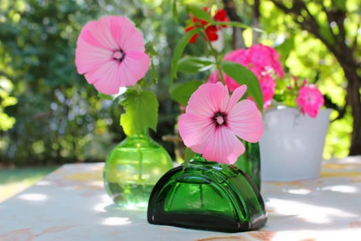 Garden Flower Accessories