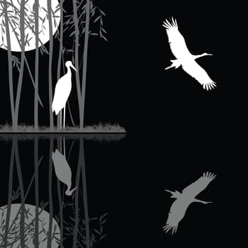 stork family