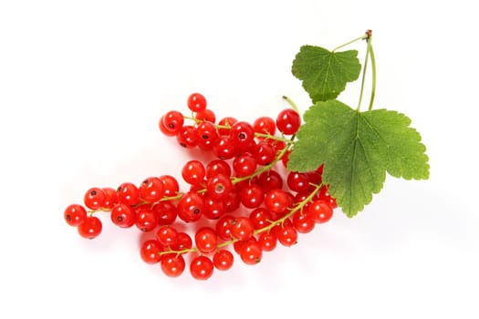 Currants Optional