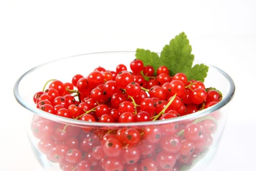 Bowl of currants