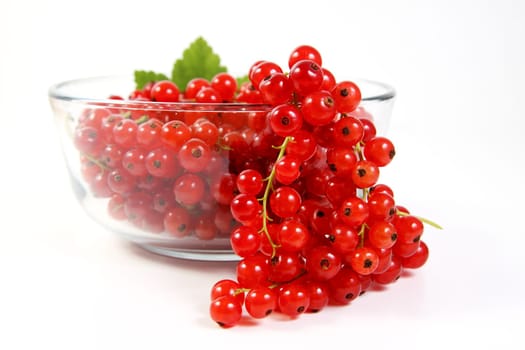 Bowl of currants
