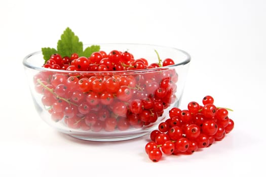 Bowl of currants