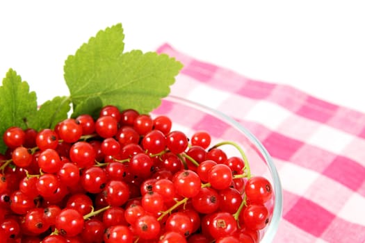 Bowl of currants