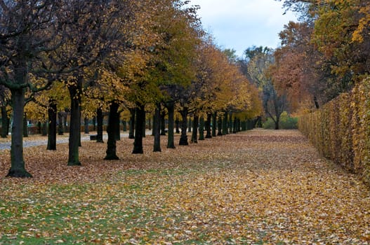 Park in autumn