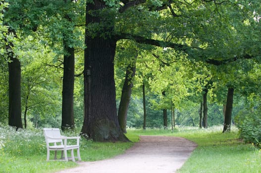 Path with park bench