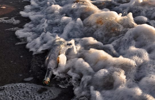 washed up on the beach