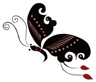 butterfly