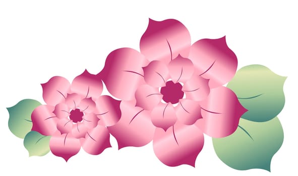 sakura flower