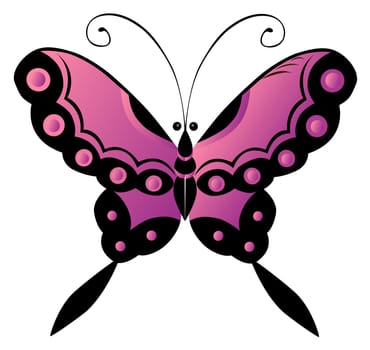 butterfly