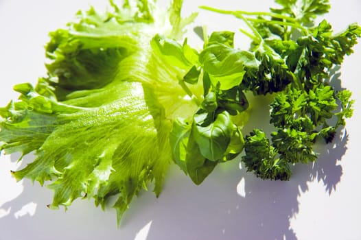 Salad