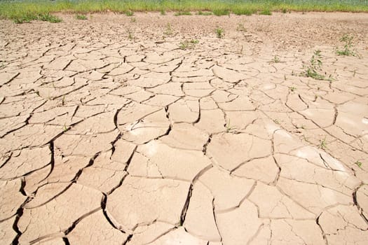 dry season - dried ground