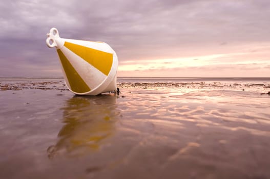 Buoy
