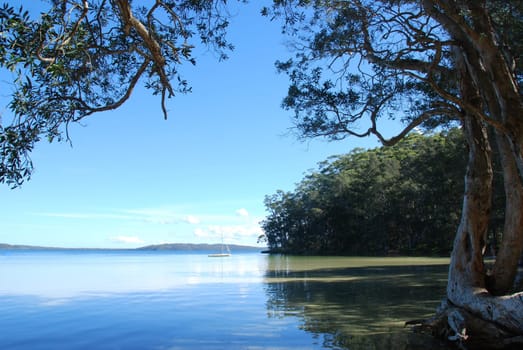 Myall Lake with Sailboat