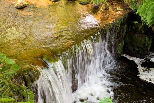Waterfall in the Black Forest