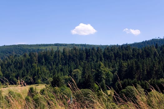 Black Forest ,Baiersbronn in summer