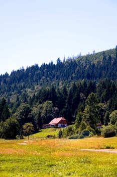 Black Forest ,Baiersbronn in summer