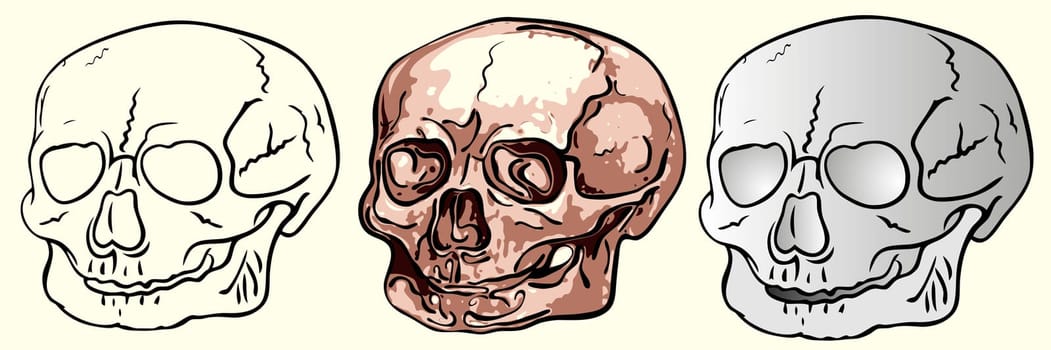 various bizarre human skulls
