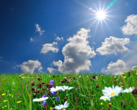 Landscape,Clouds,Meadow,Sun,Flowers