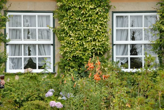 White lattice windows