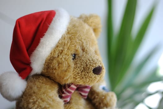 Christmas Bear