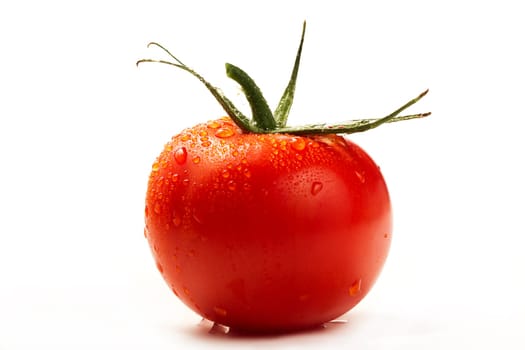Wet tomato