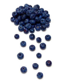 Blueberries (Vaccinium myrtillus)