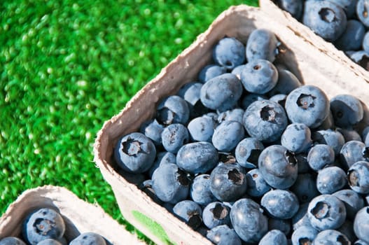 Blueberries