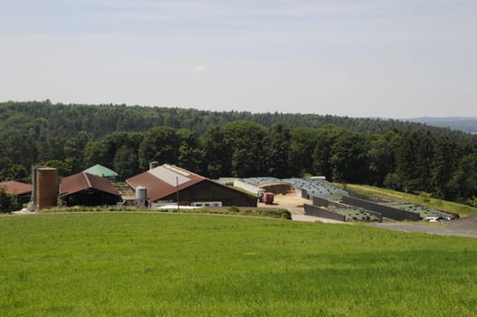 farmstead