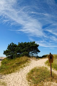 Hiddensee Nature Reserve