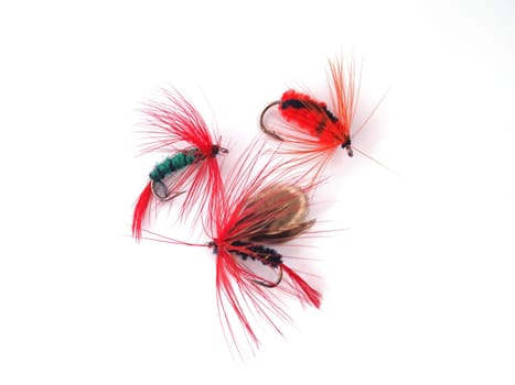 Fly used when fishing for trout.