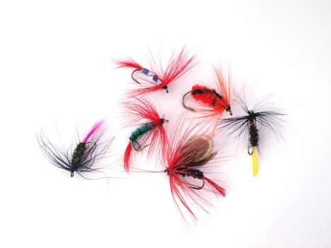 Fly used when fishing for trout.