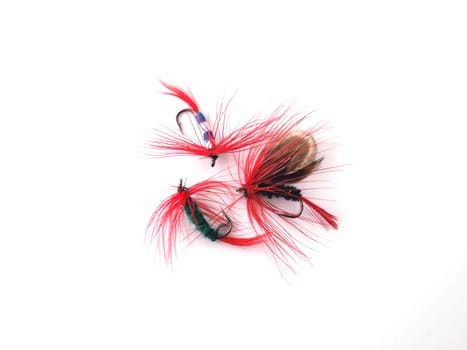 Fly used when fishing for trout.