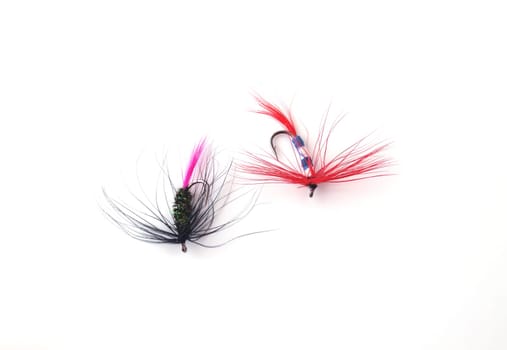 Fly used when fishing for trout.