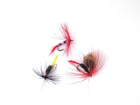 Fly used when fishing for trout.