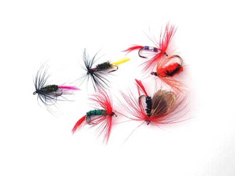 Fly used when fishing for trout.