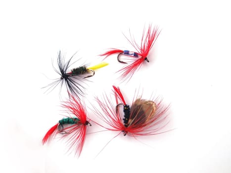 Fly used when fishing for trout.
