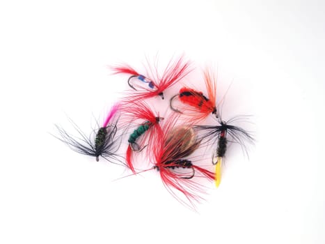 Fly used when fishing for trout.