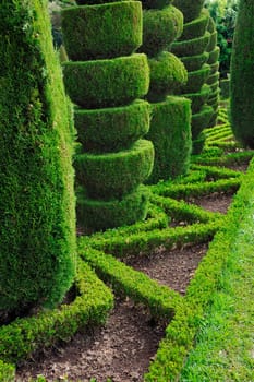 Decorative green park Botanical garden Funchal, Madeira