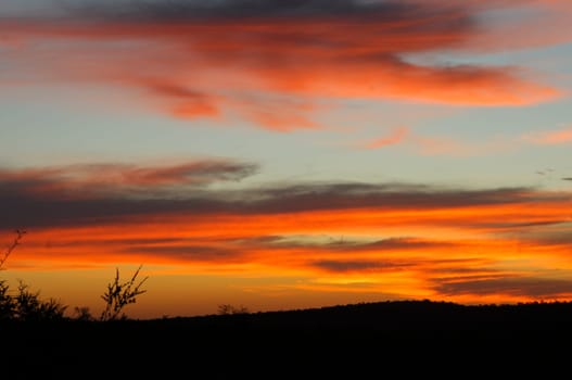 Sunset in the African steppe