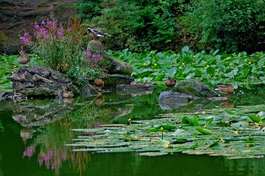 nature landscape or nature unspoiled or nature
