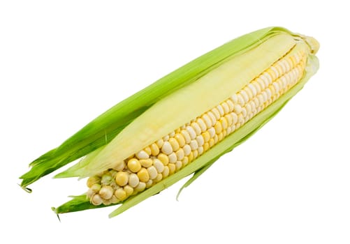 Fresh corn