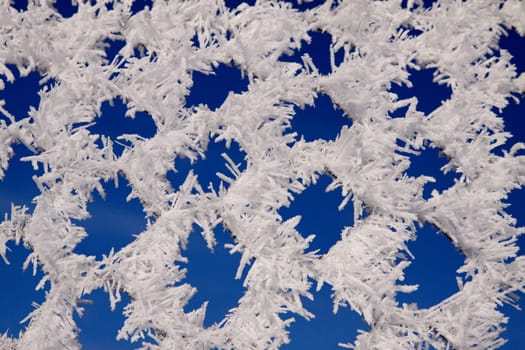 Chain link fence with hoarfrost in winter