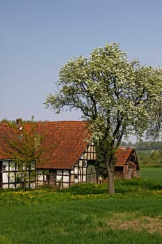 Half-timbered house in spring,Lower Saxony
