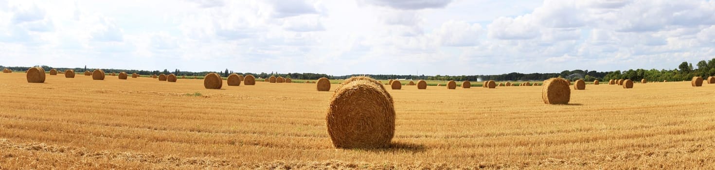 haystack
