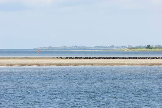 Hiddensee 83