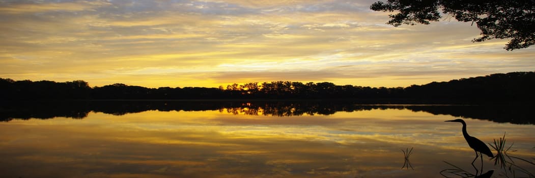 SUNDAY MORNING APPROX. 05.45 A.M. - AT OR AT SUNRISE - HAVE FUN WATCHING