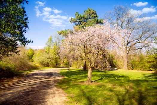Park