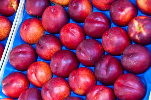 Nectarine