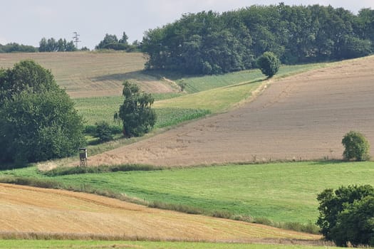 Grain harvest at a high level