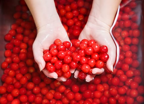 Washing cherries